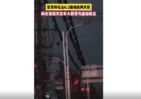 甘肃地震前后乌鸦成群？ 专家解读：不存在必然关联