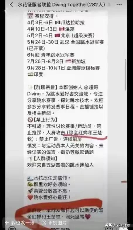霸凌全红婵群已解散 名单曝光 体育圈反网暴分水岭