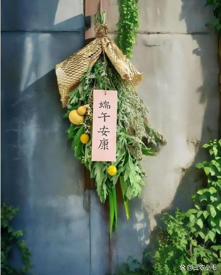 端午掛艾草有講究,，掛左邊還是右邊？一文說清楚 千年習(xí)俗的智慧