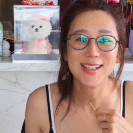 陈浩民老婆脸上扎了200多针 奇特护肤方式引发热议