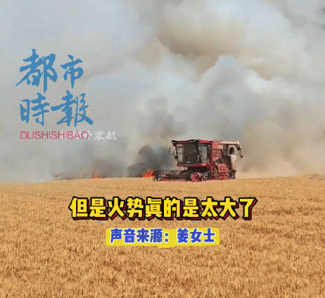 女农机手惊声叫着开收割机冲向火场：抢收一仓粮就少损失一仓粮