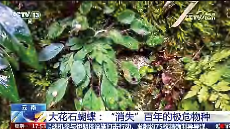 在这里,读懂两会 种子背后的科研价值