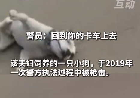 美警射杀一只狗被判赔67.5万美元