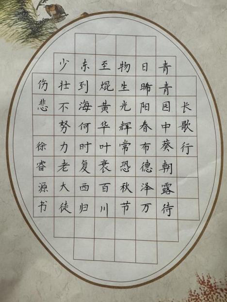 示範區實驗小學-徐睿源