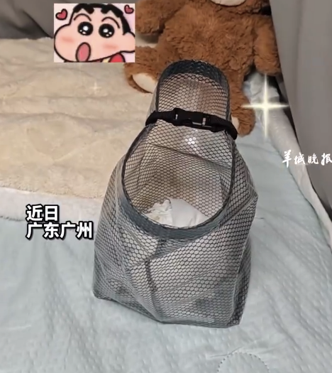 女生在宿舍用防水袋裝床上垃圾：能清洗重復(fù)使用,，安全性高