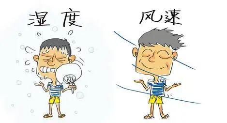 氣溫39℃為何體感有50℃ 氣象專家解讀差異原因