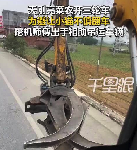 菜农为躲小猫翻车 过路挖机出手相助