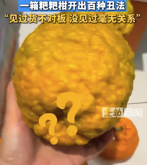 女子网购一箱粑粑柑开出百种丑法：见过货不对板，没见过毫无关系