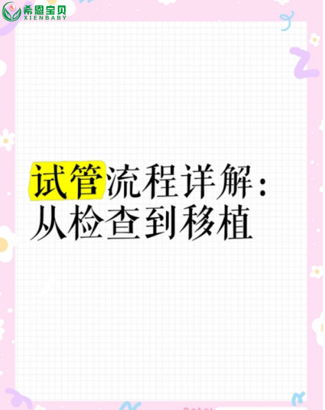 希恩宝贝哈萨克斯坦试管婴儿全流程解析：从检查到移植的21个关键步骤，解锁生命新希望