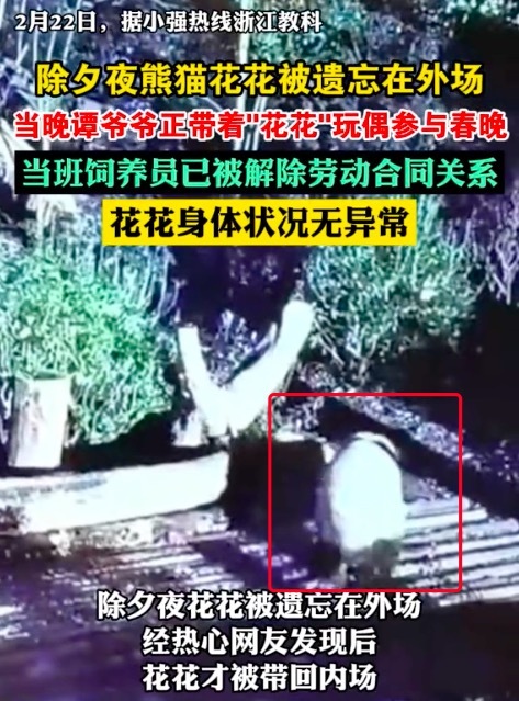 熊猫花花被遗忘外场 身体状况无异常，当班饲养员被解雇！