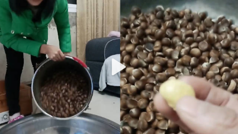 女子将松鼠囤的板栗一锅端最终归还