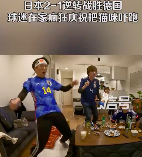 日本球迷在家疯狂庆祝吓跑猫咪