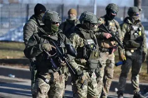 怎么看ICE再次在明尼苏达州枪杀平民