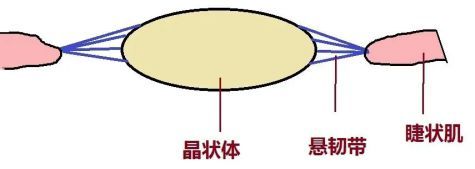 男子用筋膜枪按摩眼睛视力仅余0.1 错误使用后果严重