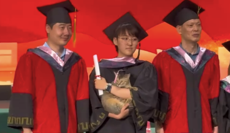 是谁的小猫毕业被拨穗了！女孩带小猫一起参加毕业典礼