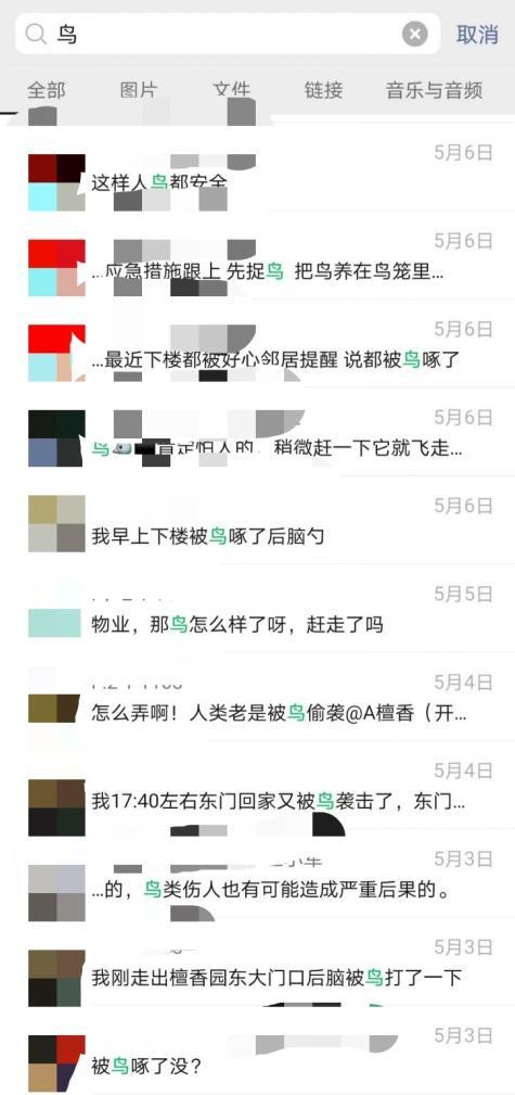 杭州一小區(qū)驚現(xiàn)“憤怒的小鳥(niǎo)” 紅嘴藍(lán)鵲頻襲居民