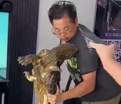 男子正準備把烏龜放回水池，不料烏龜咬住男子衣服不放！