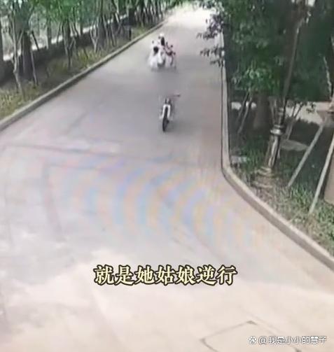 6岁女童弯道骑车逆行撞车索赔 责任之争引热议