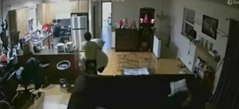 突发!重大恶性案,21岁女儿为救母亲被继父捅杀,知情者透露内幕