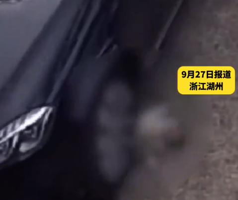 狗狗自家院休息被陌生车辆闯入碾死 司机：我就想进你们家掉个头