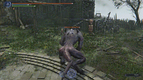 《艾尔登法环：黑夜君临》执行者角色完全解析分享