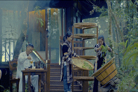 【跟着大象逛云南·“象”滇记】②普洱:“象”见恨晚的地方