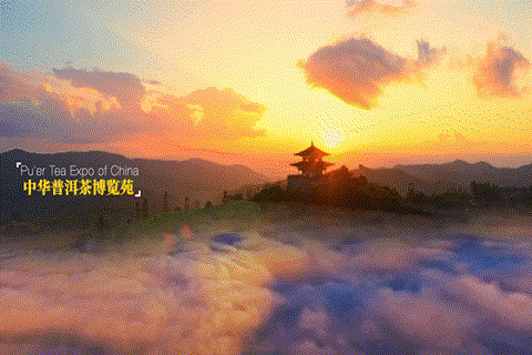 【跟着大象逛云南·“象”滇记】②普洱:“象”见恨晚的地方