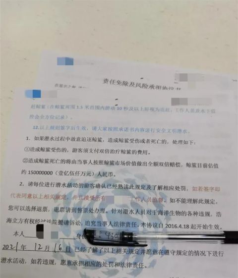 海洋馆让潜水者签3亿巨额责任协议 网友笑称：潜水前还要先验资