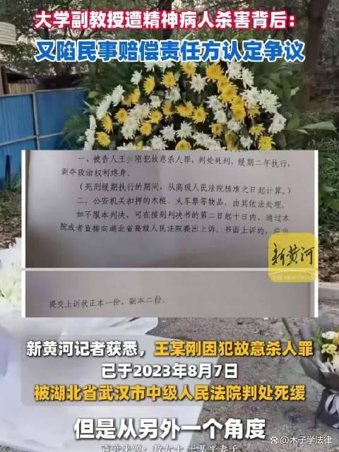 案件：中南财大副教授遭精神病人杀害，家属上诉