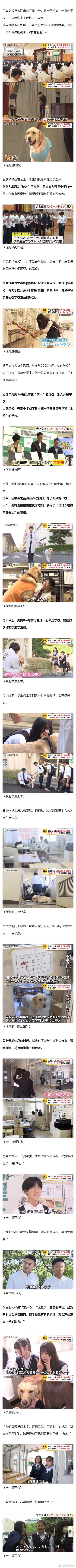 日本中学引入“校狗”！每天上学=撸狗
