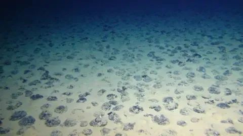 4280米深海采矿，拉走3000多吨多金属结核，如何影响海洋生物多样性？