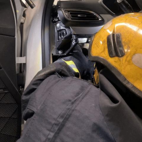 消防员从发动机舱中抓出保护动物竹鼠