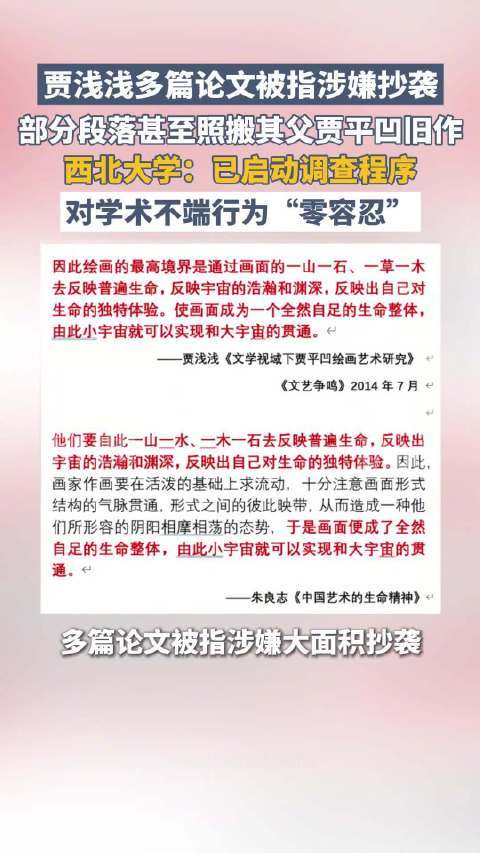 律师解读贾浅浅涉嫌抄袭：学生对贾浅浅评价较好 部分案例构成实质性相似 