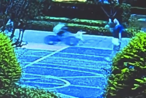 一岁半女童遭两名男童骑车撞倒碾轧:男孩把孙女撞倒后马上跑了,对方家长不认,称没撞到
