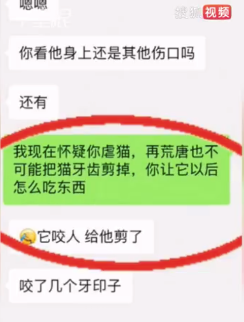 男子谎称领养将小猫整排牙齿剪断：没送它去喵星就不错了