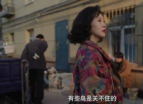 《老舅》会爆火吗，看完阵容我想说：这剧要火 