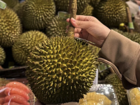 榴莲吃多了会让大脑变傻吗？榴莲其实是低升糖食物