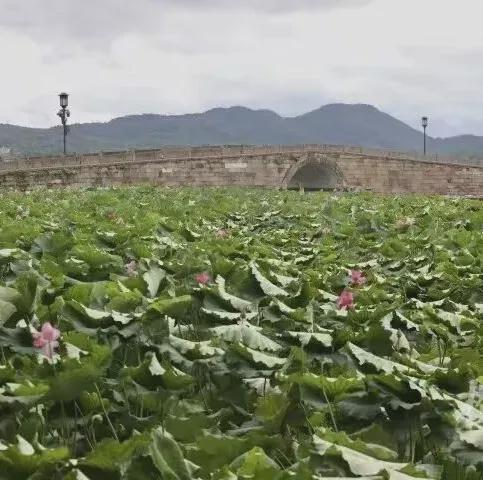 有人因工作强度离开长鑫 高薪背后的高强度加班