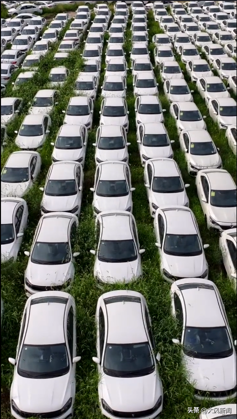杭州又现"汽车坟场"?街办回应:是企业,4s店租来临时停车使用