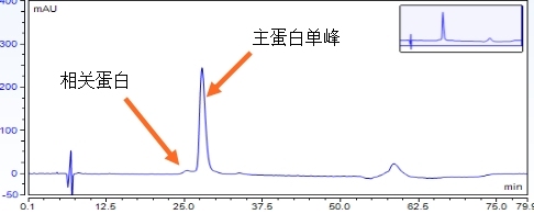 2026生长激素推荐哪些品牌:四大产品技术路线、安全性、真实疗效、治疗体验全面对比