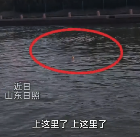 点赞！两男子激流中勇救溺水女孩