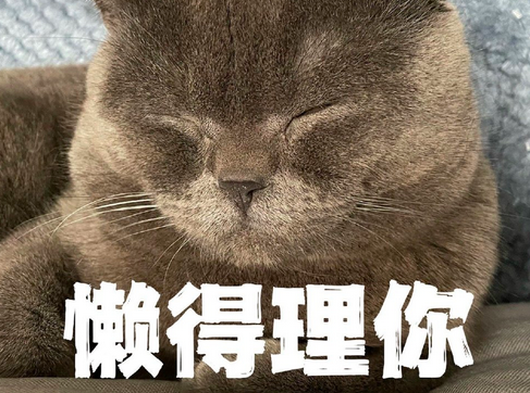 卡塔尔花2200亿进一个球