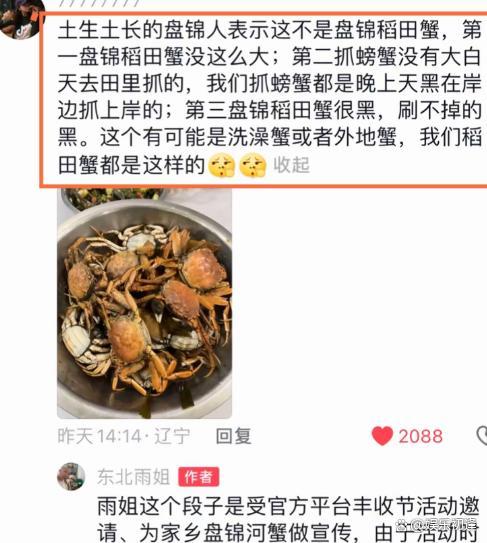 东北雨姐算塌房了吗 农业网红信任危机