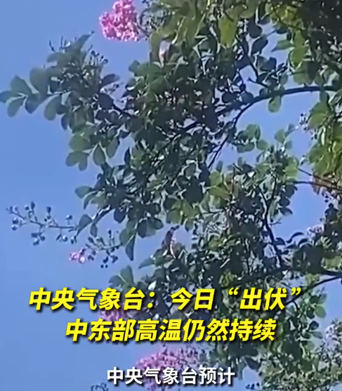 今年三伏天为史上第二热！出伏后还要热多久？