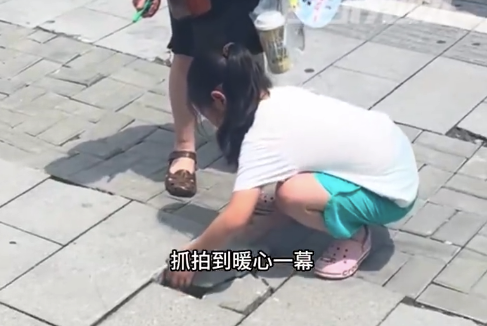 路面砖块翘起小女孩逐一归位 网友：平凡小事格外治愈人心