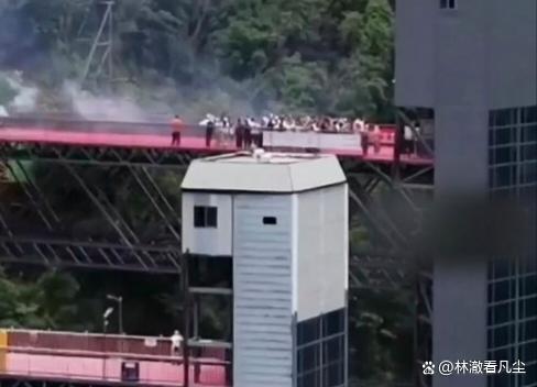 毛宁向世界分享云南