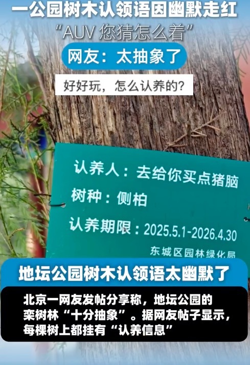 公园回应树木认领语走红 网友热评“既接地气又充满巧思”