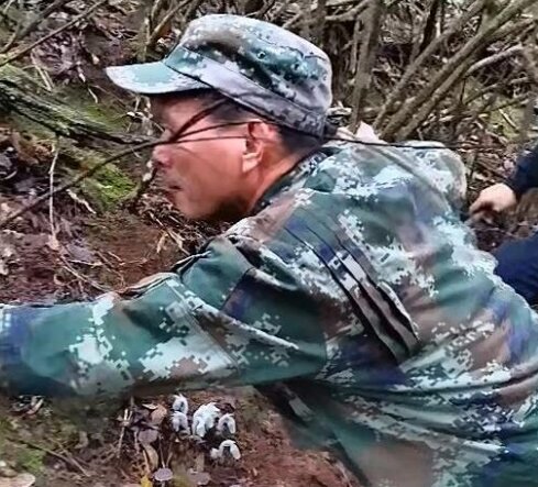 湖南发现大面积“死亡之花”