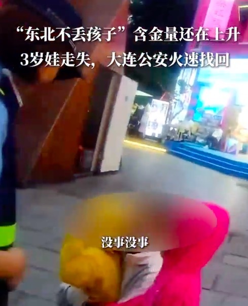“东北不丢孩子”含金量还在上升 3岁幼童景区走失被民警火速找回