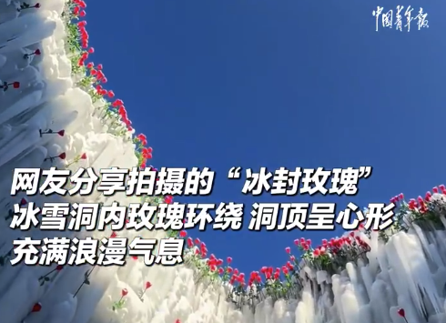 梦幻！长白山心形冰雪洞内红玫瑰环绕